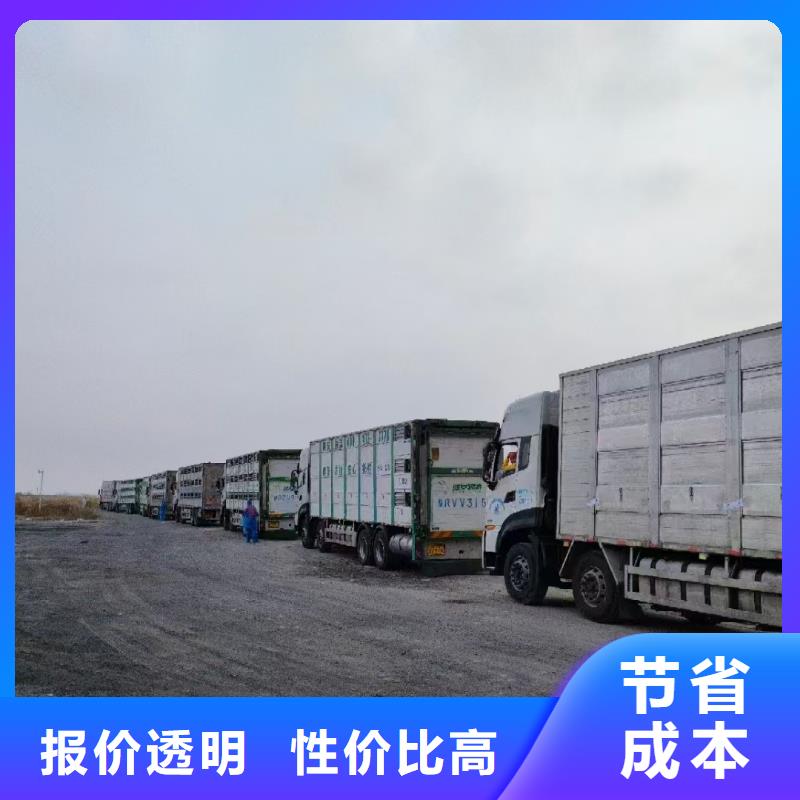 滁州到焦作物流专线货运公司