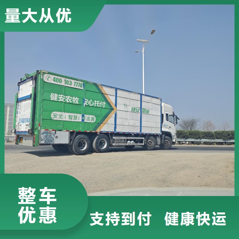 日照到克拉玛依物流专线货运公司