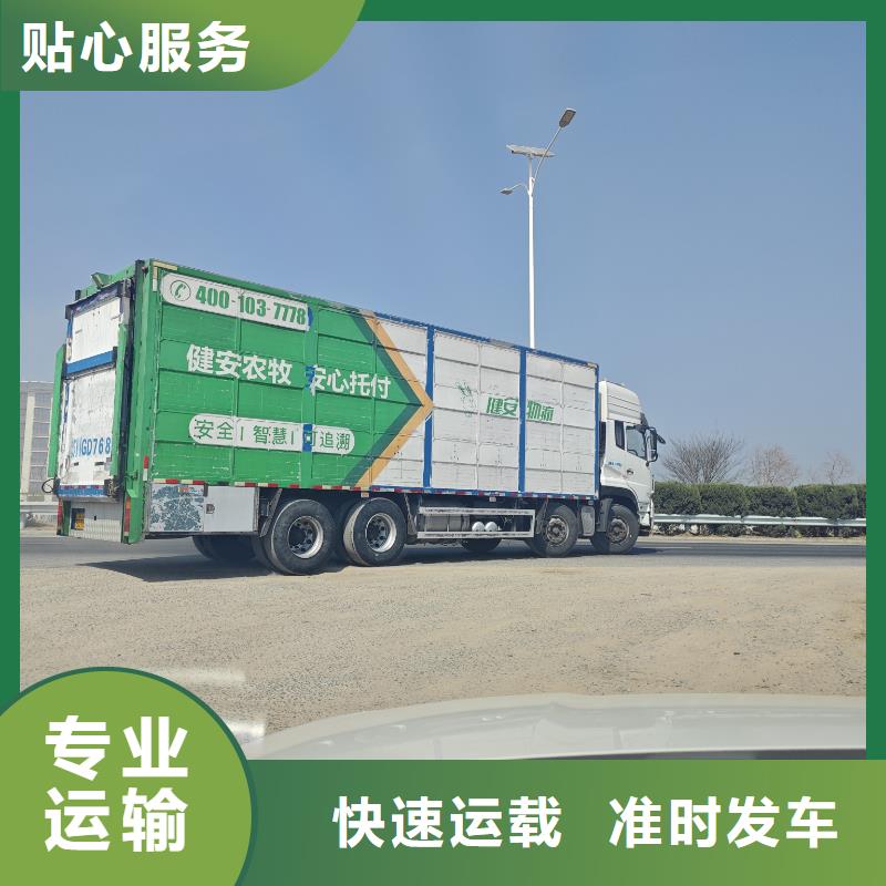 周口到河池物流专线货运公司