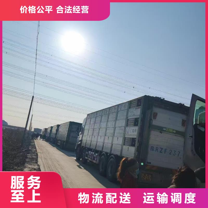 涟水到沧州物流专线货运公司