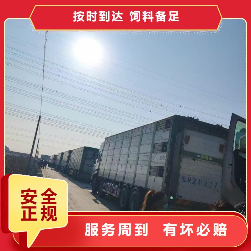 淮北到韶关物流专线货运公司