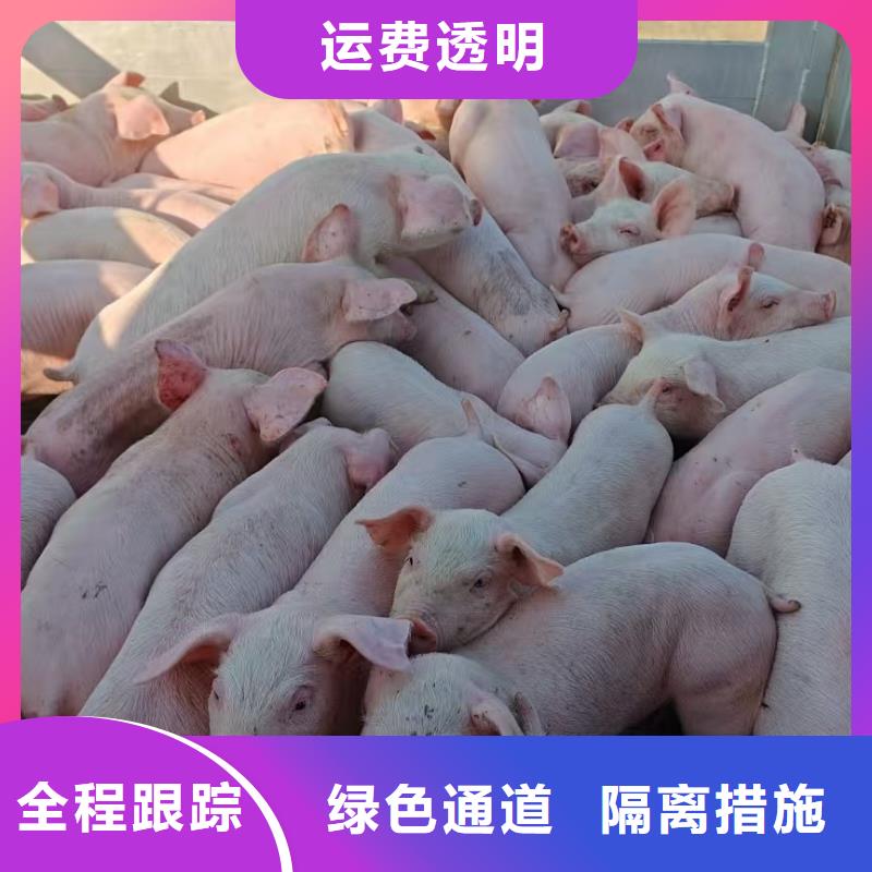 淮北到荆门物流专线货运公司