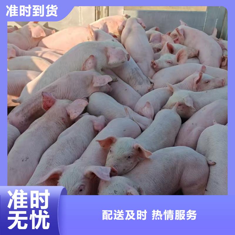 濮阳到长治物流专线货运公司