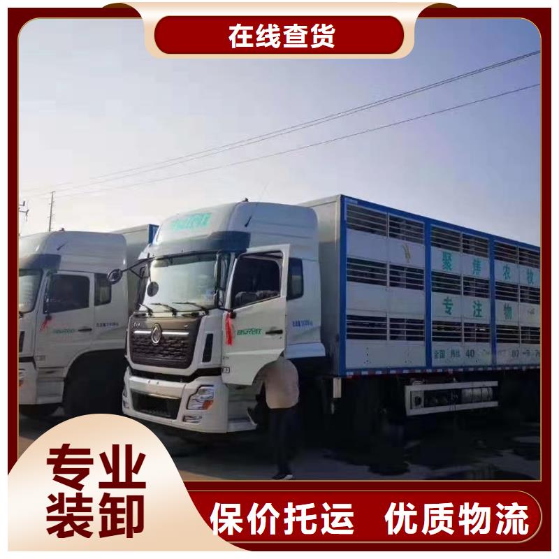 日照到兴安物流专线货运公司