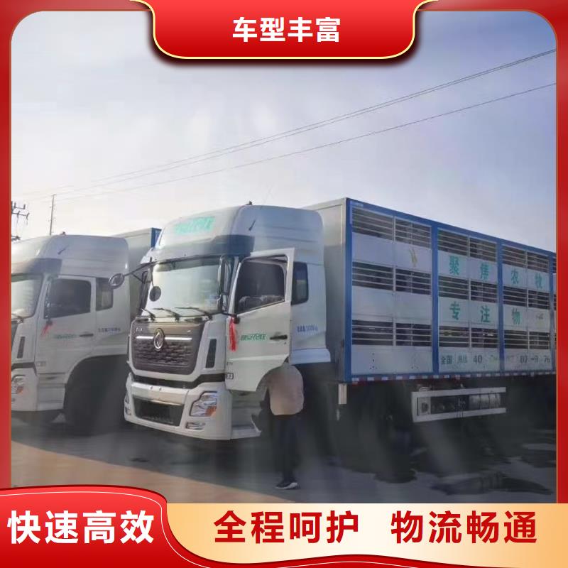 周口到许昌物流专线货运公司