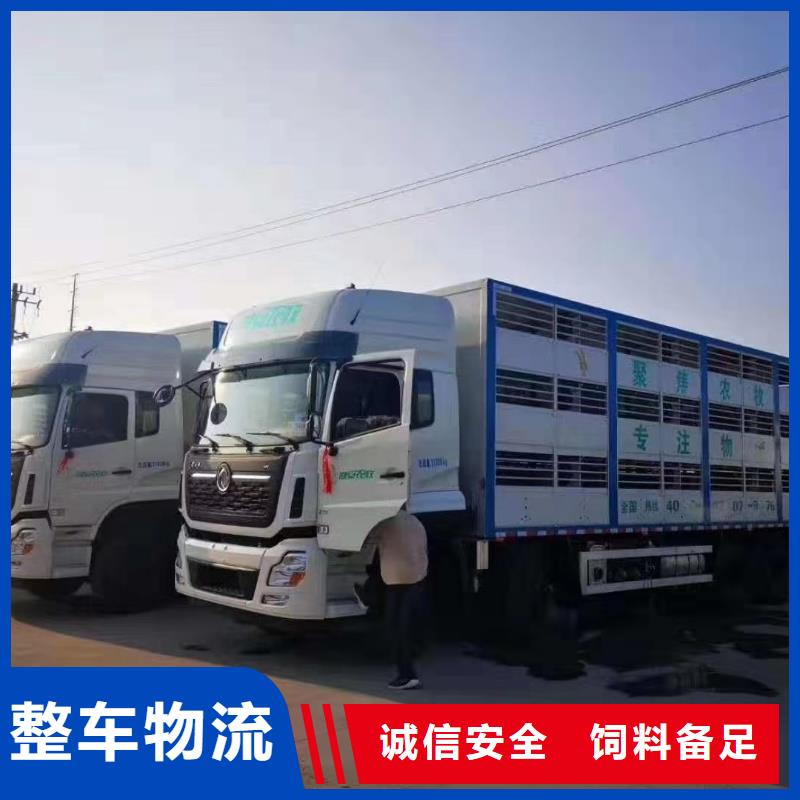 淮北到伊犁物流专线货运公司