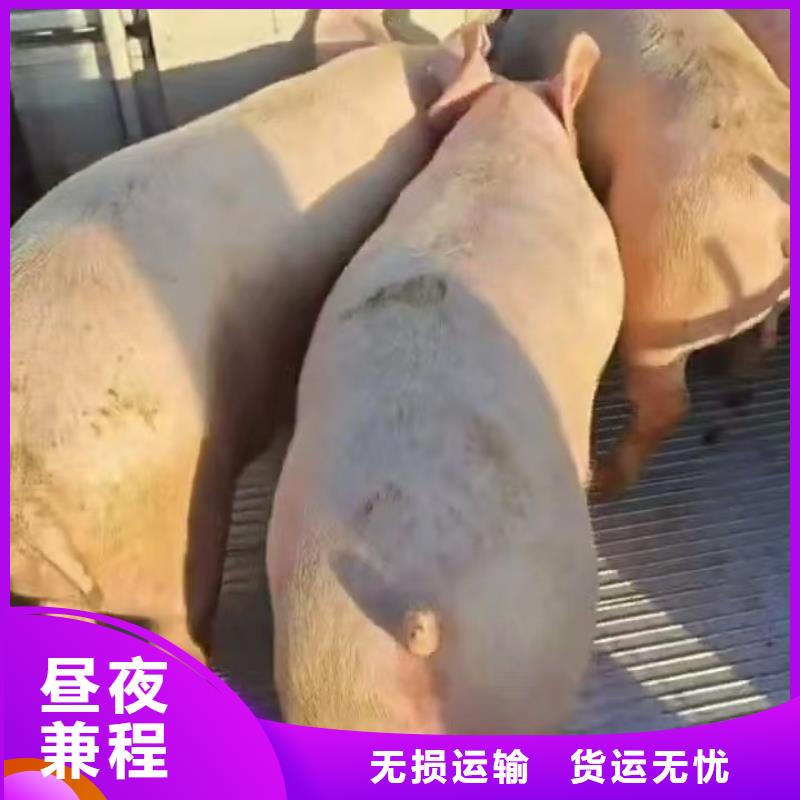 滁州到北京物流专线货运公司