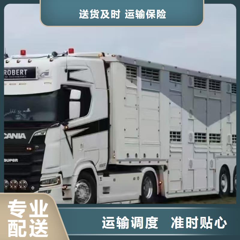 濮阳到鹤岗物流专线货运公司