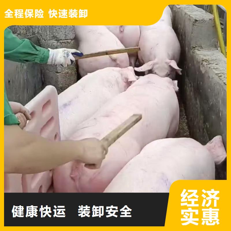 濮阳到锦州物流专线货运公司