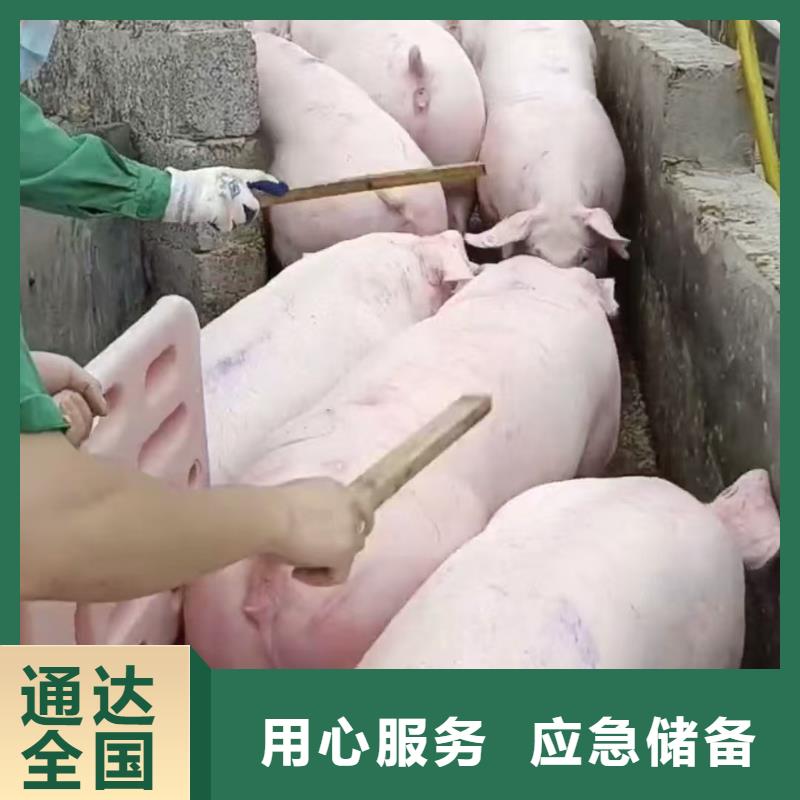 涟水到娄底物流专线货运公司