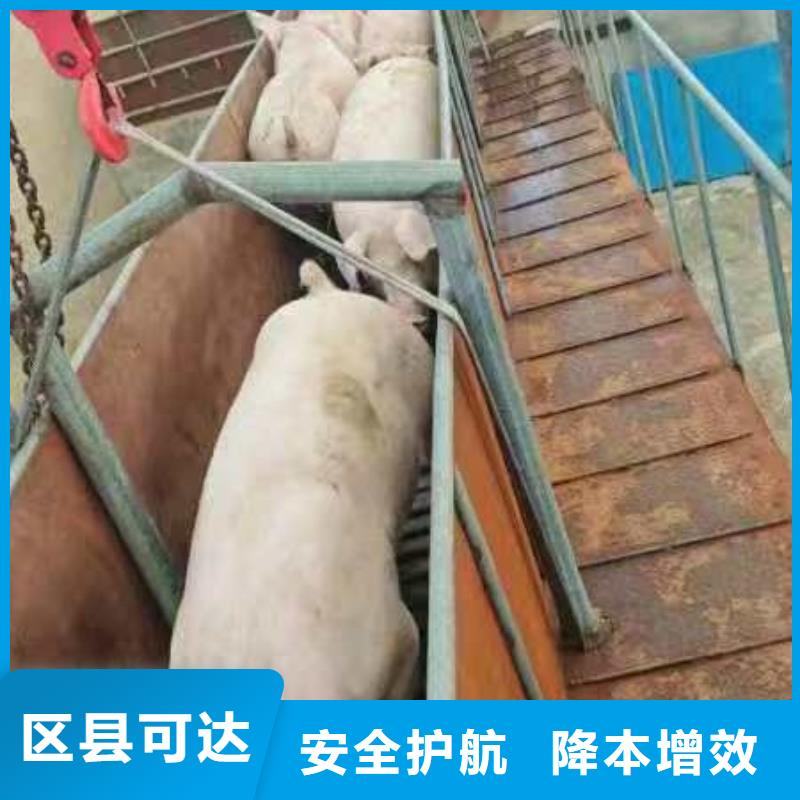 濮阳到运城物流专线货运公司