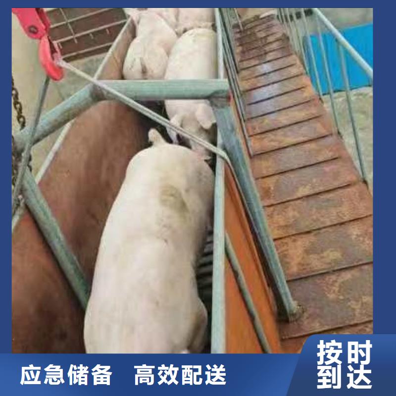 日照到黔西南物流专线货运公司