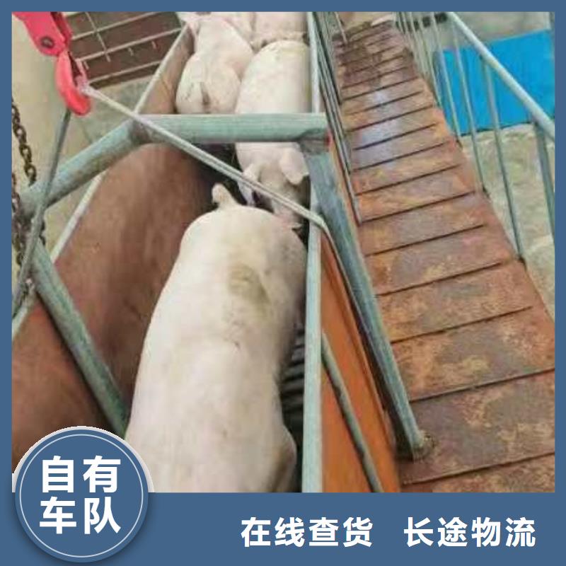 涟水到荆州物流专线货运公司