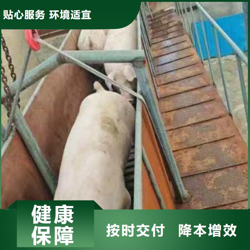 涟水到威海物流专线货运公司