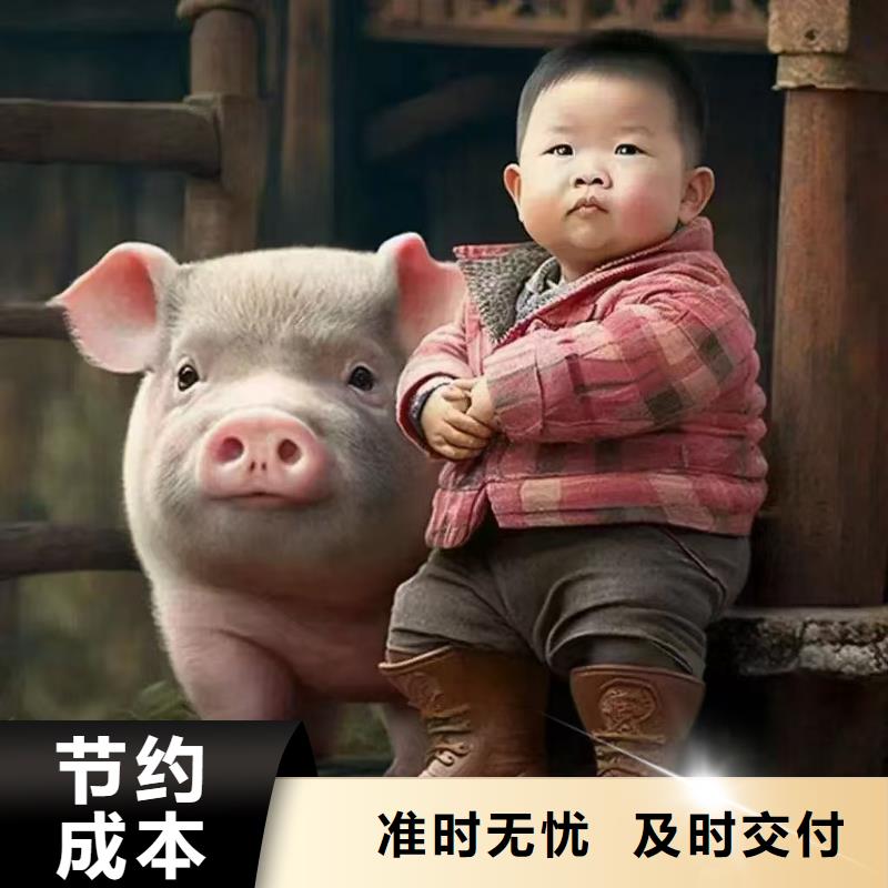 滁州到朔州物流专线货运公司