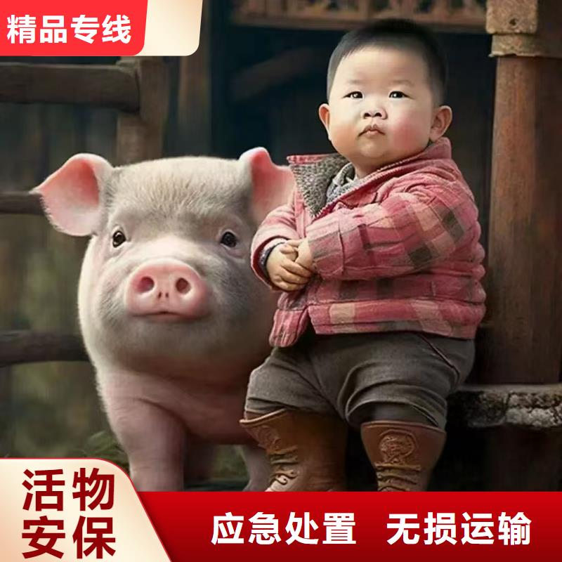 涟水到威海物流专线货运公司