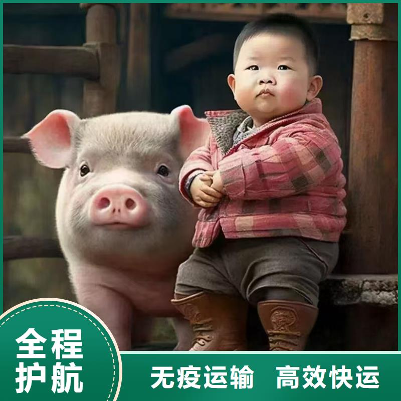 日照到黔东南物流专线货运公司