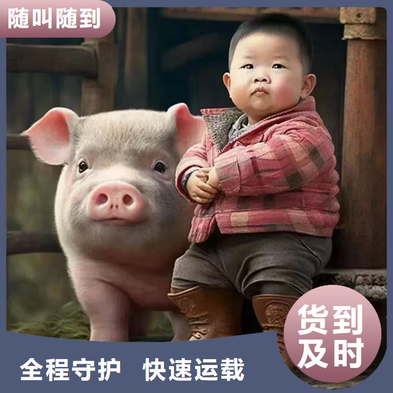 滁州到丽水物流专线货运公司