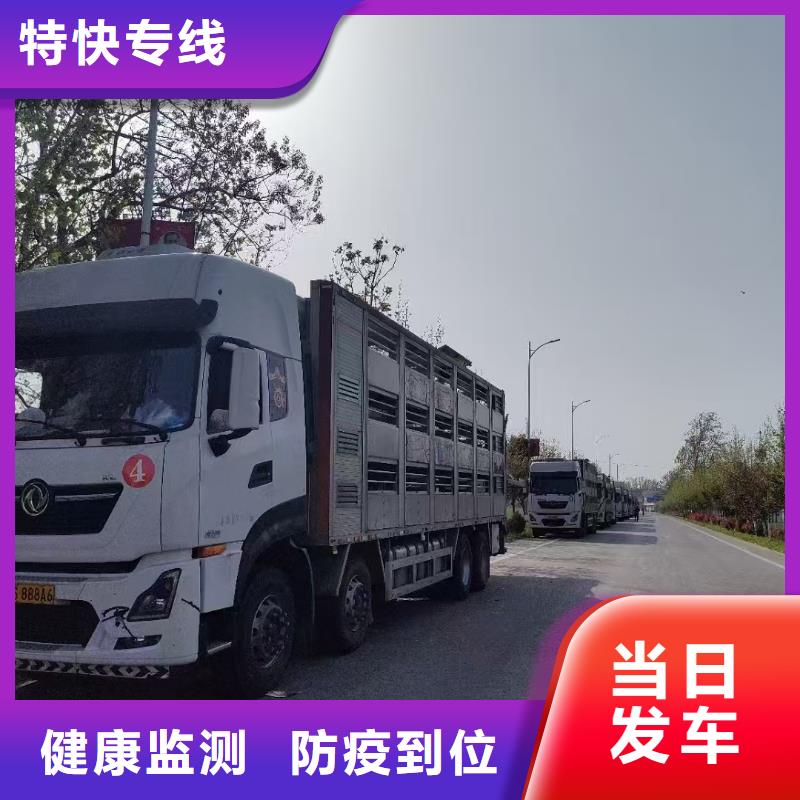 周口到赤峰物流专线货运公司