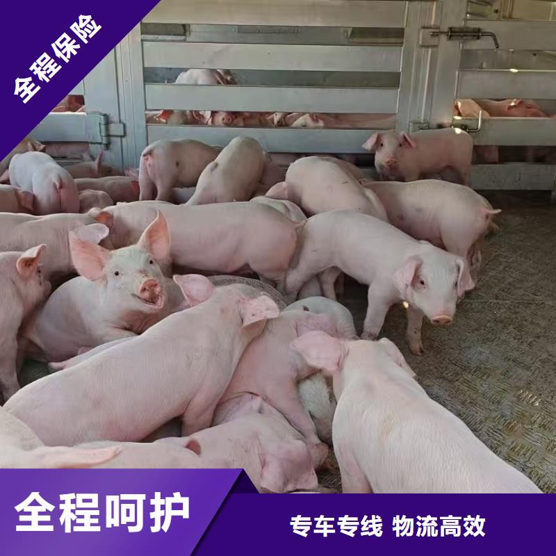 颍州到太原物流专线货运公司