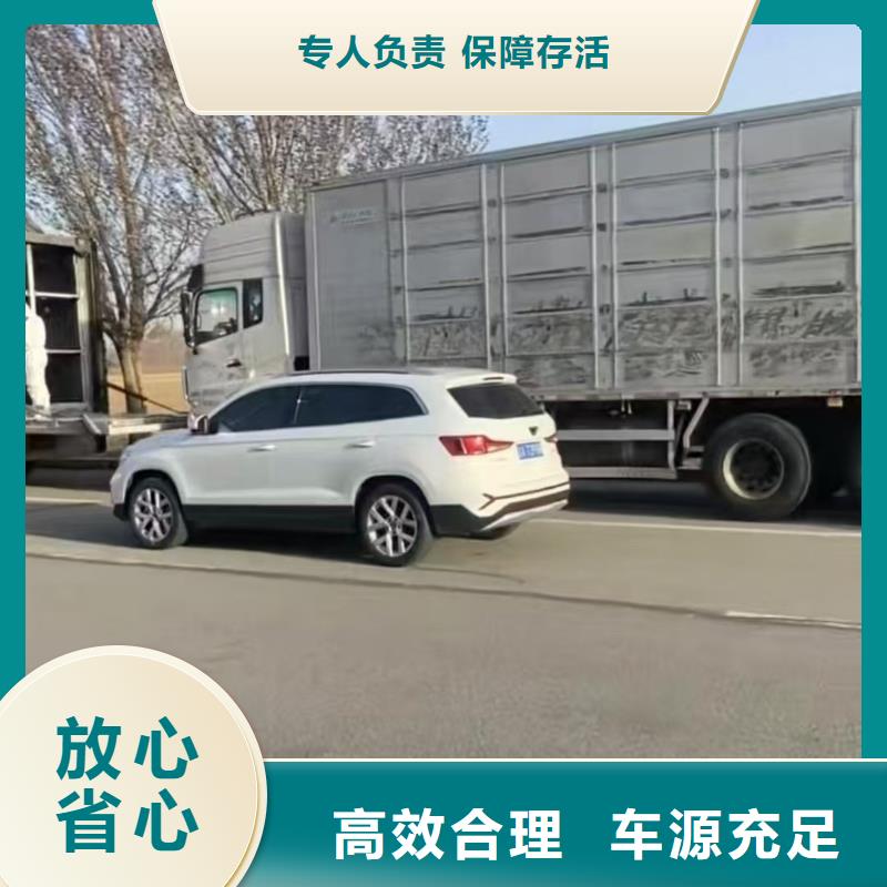 日照到绍兴物流专线货运公司