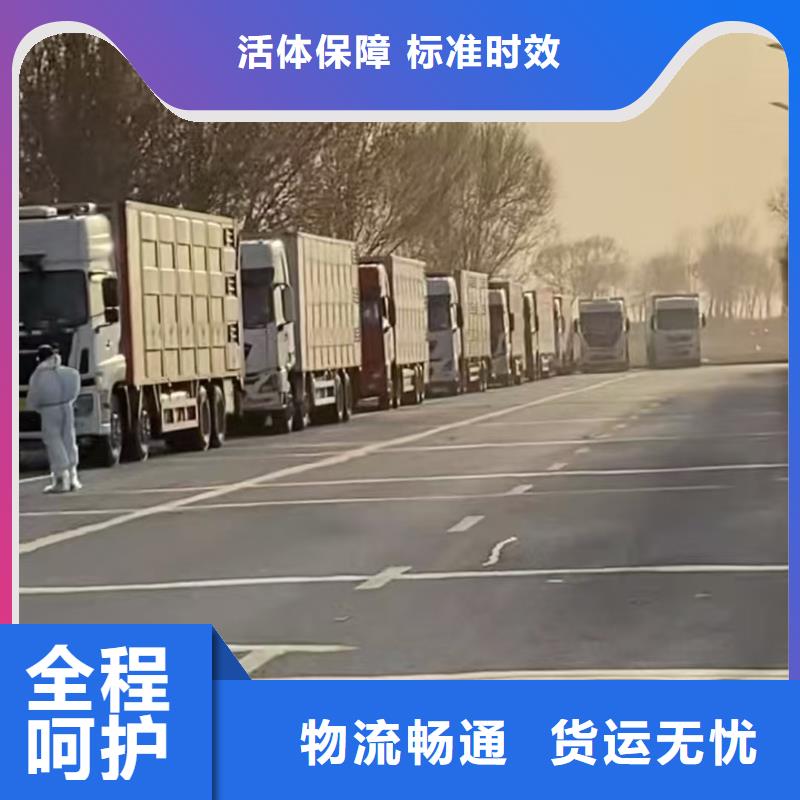 濮阳到山南物流专线货运公司