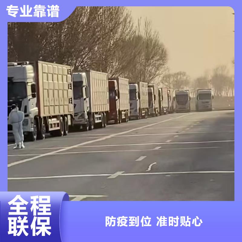 周口到东营物流专线货运公司