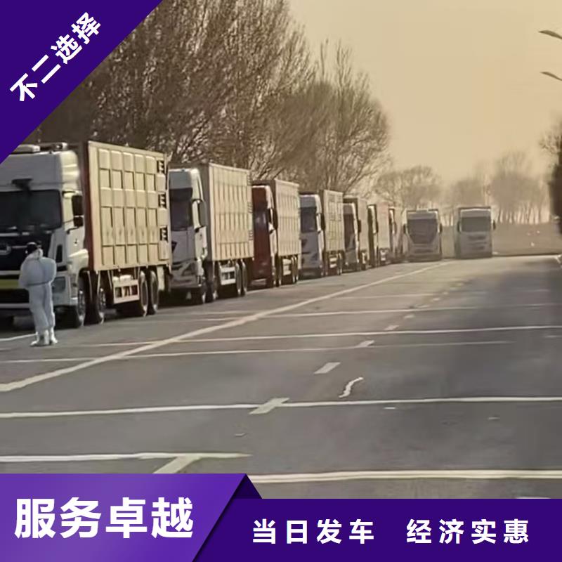 日照到河源物流专线货运公司