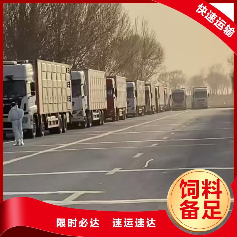 濮阳到昌都物流专线货运公司