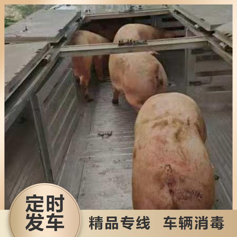 濮阳到长治物流专线货运公司