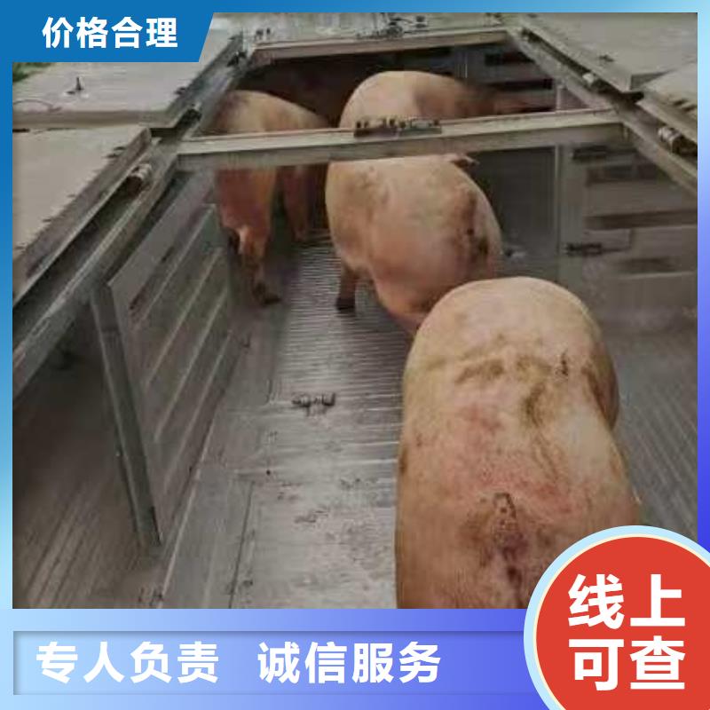 濮阳到香港物流专线货运公司