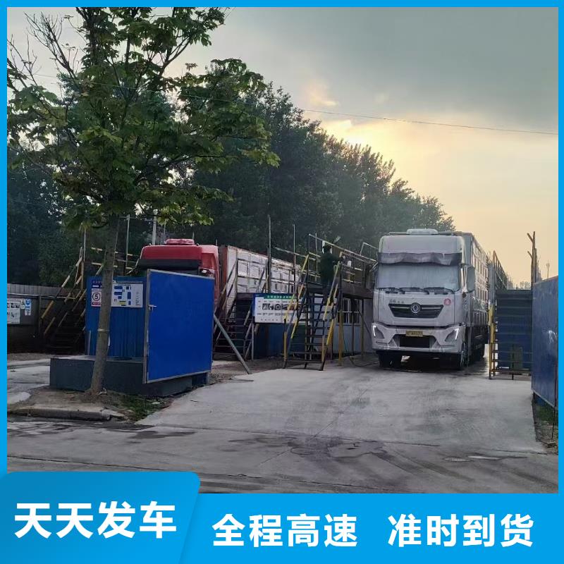 周口到黑龙江物流专线货运公司