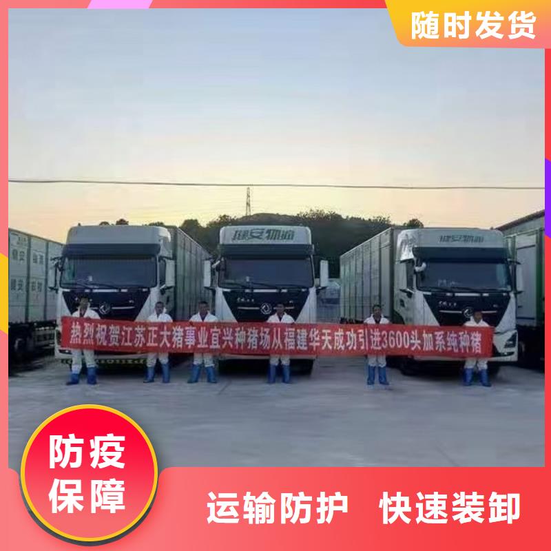 日照到河源物流专线货运公司