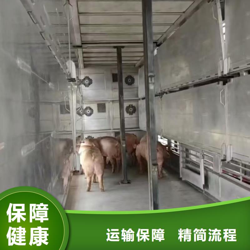 日照到云南物流专线货运公司