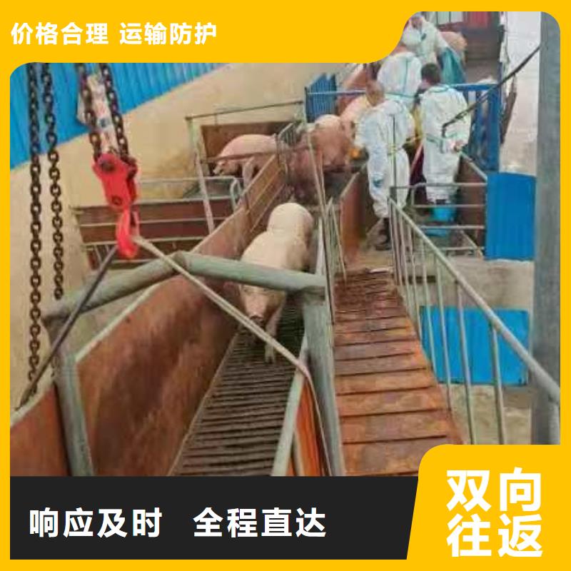 淮北到荆门物流专线货运公司