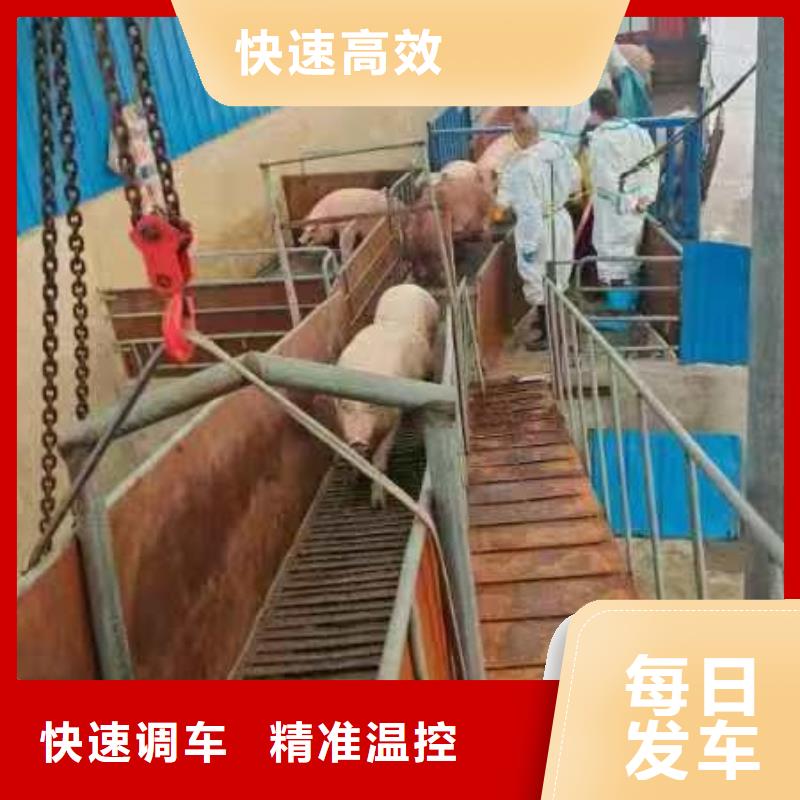 淮北到永州物流专线货运公司