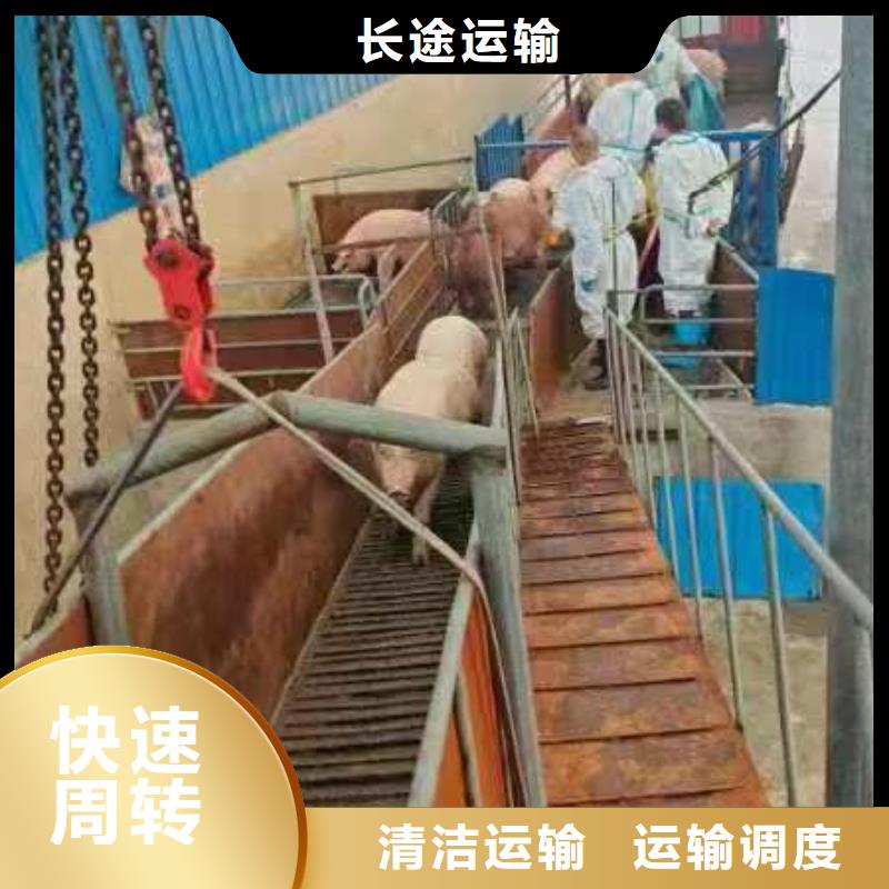 日照到玉林物流专线货运公司