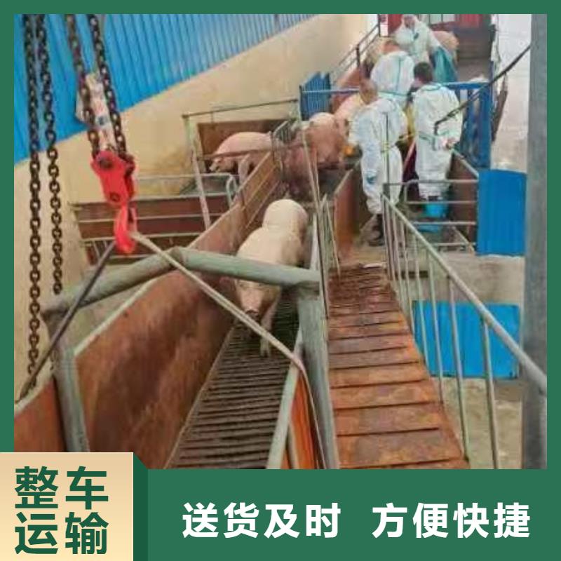 周口到淮北物流专线货运公司