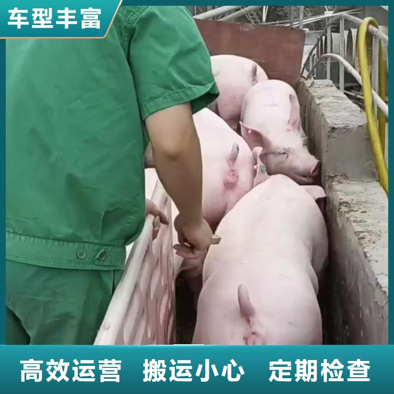 濮阳到韶关物流专线货运公司