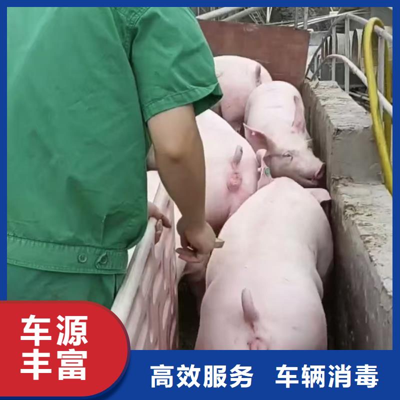 淮北到绍兴物流专线货运公司