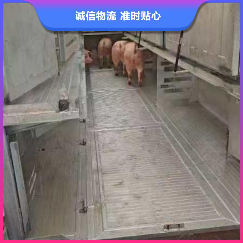 周口到南阳物流专线货运公司