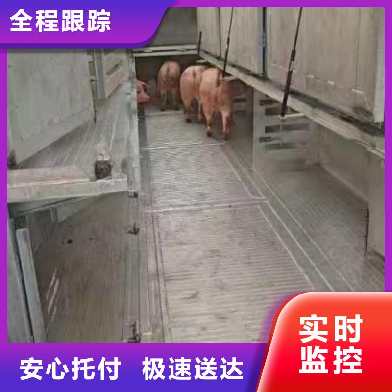 滁州到焦作物流专线货运公司