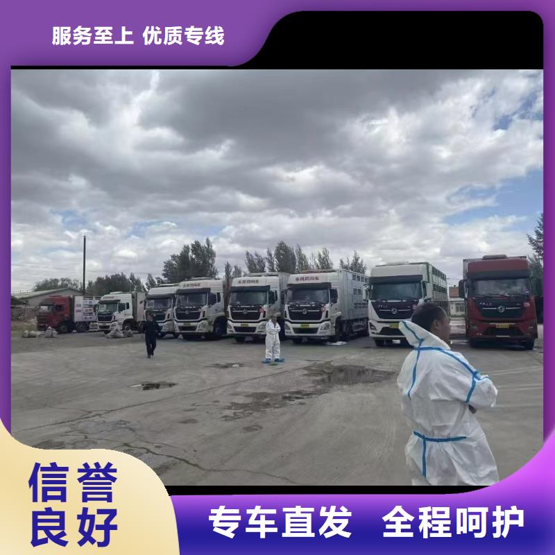 濮阳到承德物流专线货运公司