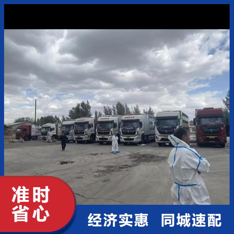 濮阳到鹤岗物流专线货运公司