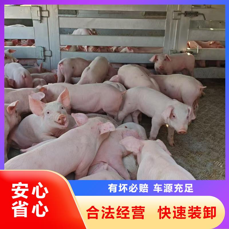 日照到铜仁物流专线货运公司