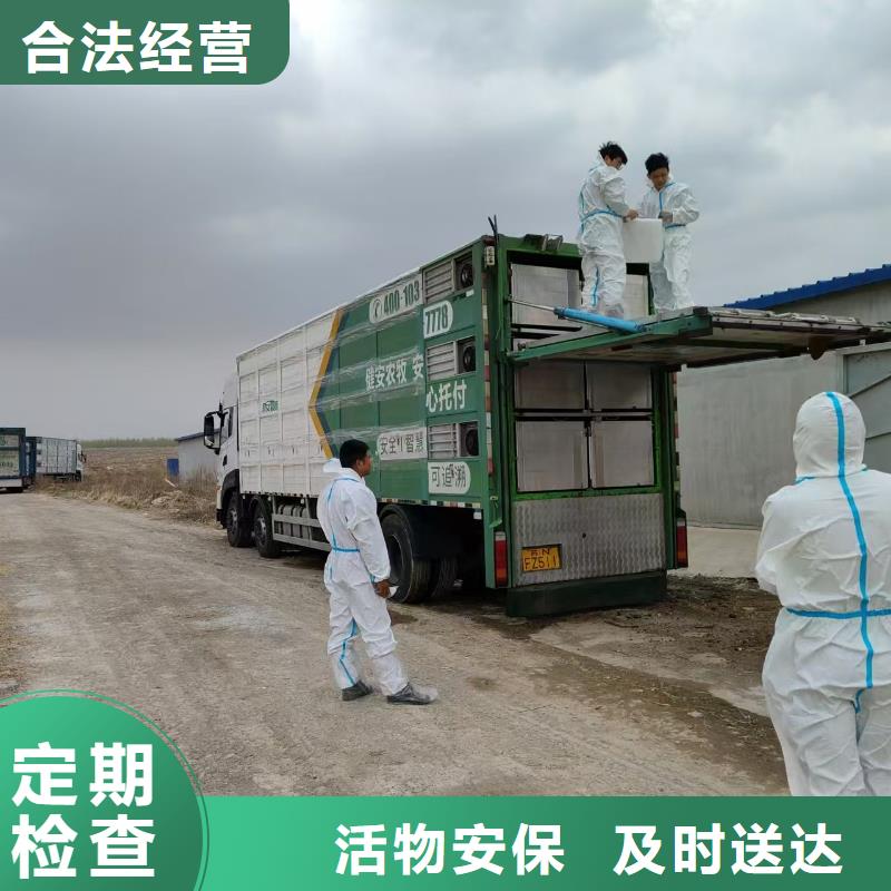 淮北到南京物流专线货运公司