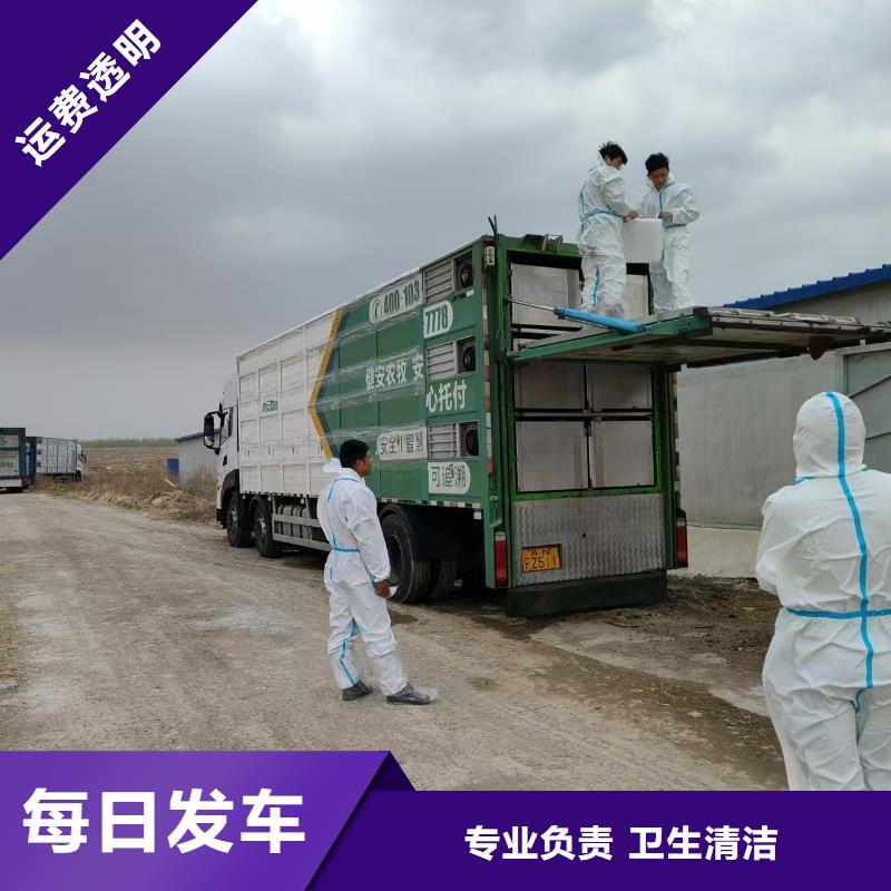 淮北到绍兴物流专线货运公司