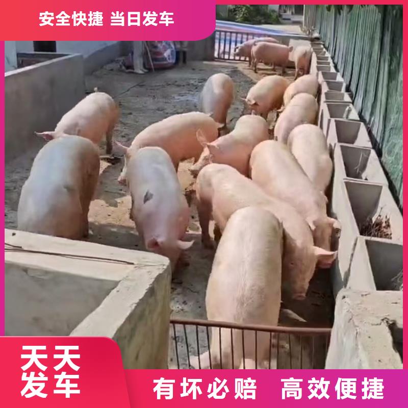 滁州到黔南物流专线货运公司