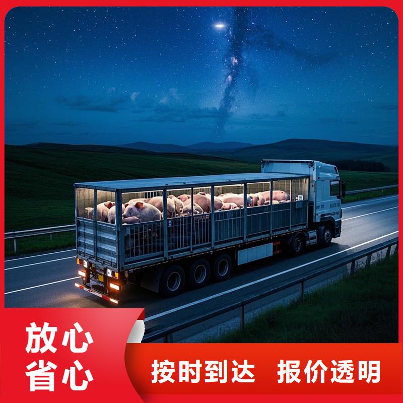 柳州到舒城物流专线货运公司