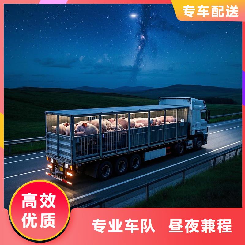 滁州到天等物流专线货运公司